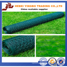 Cheap Hexagonal Wire Mesh for Chicken Cage China supplier